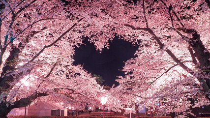 【青森】弘前公園の空に浮かぶ桜のハートマーク