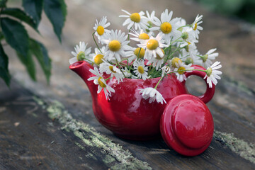 A bouquet of daisies in a red vase on a wooden table in the garden.
