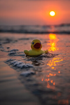 Close-up Of Yellow Rubber Duck Floating On Sea During Sunset