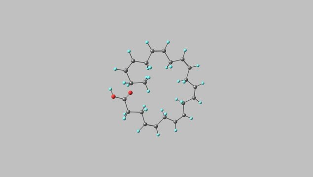 Docosahexaenoic acid molecule rotating video 