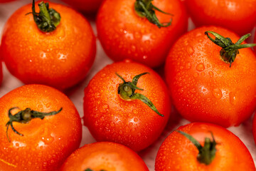 食材の新鮮なミニトマト