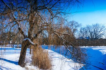 Frozen pond covered with snow in winter