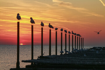 sunrise black sea bulgaria