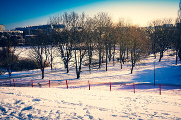 Park with trees and snow in winter - obrazy, fototapety, plakaty