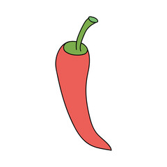 chili pepper icon, flat style