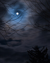 Full Moon visible through a set of branches at a night in Ohio.