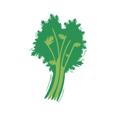 parsley vegetable isolated vector design