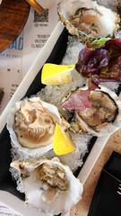Oysters