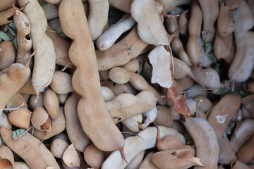 Closeup Large pod sour tamarind,ripe.
