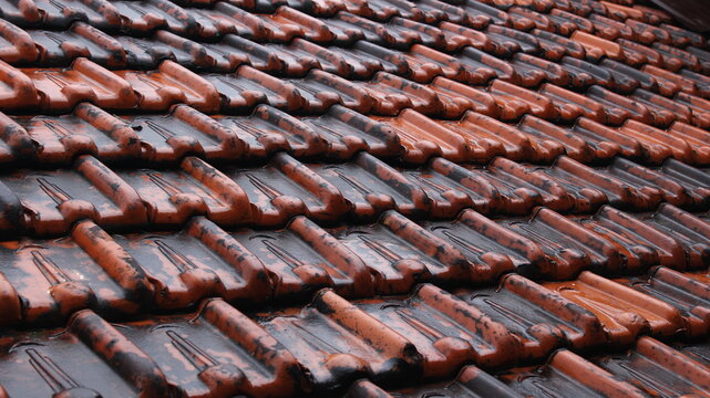 Tile roofs made of clay and have a parallel pattern in each row make an aesthetic impression in your home
