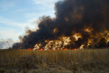 Wildfires. Burning estuary. Fire in the steppe.