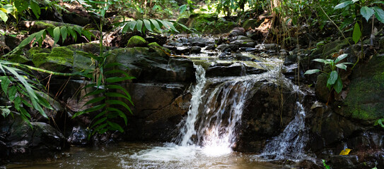 Waterfall and river in the jungle of Costa Rica