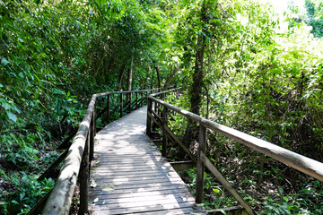 Wooden walkway in Manuel Antonio National Park in Costa Rica