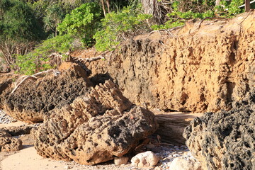 Coastal erosion Sea beach; Sandy beach with overgrown cliff; Coast protection; Coastline with steep coast