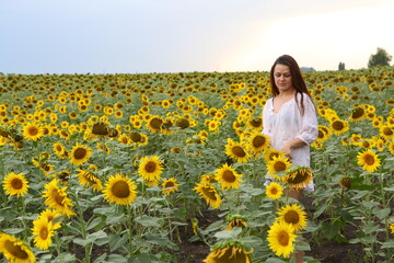 Obraz na płótnie Canvas Girl in a white dress in a field of sunflowers