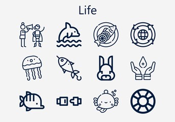 Premium set of life [S] icons. Simple life icon pack. Stroke vector illustration on a white background. Modern outline style icons collection of Seat belt, Jellyfish, Motivation, Dolphin, Blood 