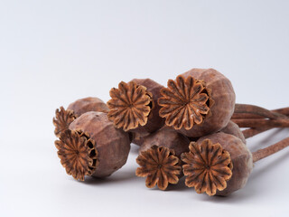 Dried poppy heads and seeds close-up, macro