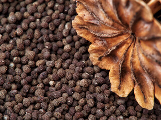 Dried poppy heads and seeds close-up, macro