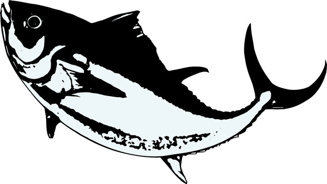 recommend clip art: シンプルなジャンプするマグロの白黒