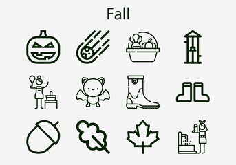 Premium set of fall [S] icons. Simple fall icon pack. Stroke vector illustration on a white background. Modern outline style icons collection of Oak leaf, Maple leaf, Free fall, Birch, Meteorite