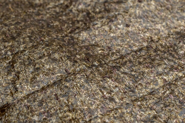 Fototapeta na wymiar Texture of dry nori. Seaweed texture. Close up. Abstract background.