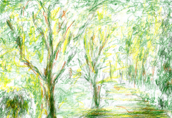 Obraz na płótnie Canvas A path in the forest. Hand drawn trail green background