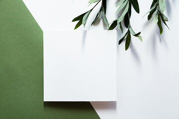 White sheet of paper, eucalyptus branch and long shadows. Empty postcard scene mockup. Flat lay on the green background in sunlight, top view.