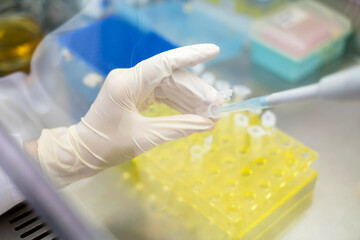 Young Asia Scientist using micropipette transfer sample from Eppendorf in the biohazard hood. Many...