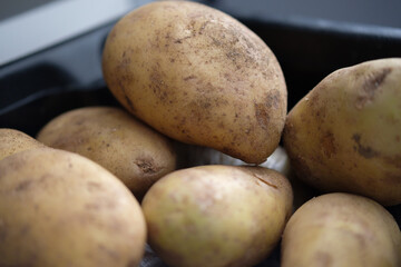 potatoes close-up. fresh harvest..