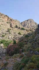 Fototapeta premium crete kallikrátis canyon hiking