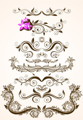 vector vintage floral design elements on gradient background