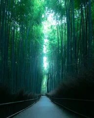 Fotobehang 京都・嵐山 © K.Fukushima