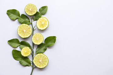 kaffir lime slice herbal local flora of asia arrangement flat lay postcard style on background white 