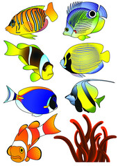 vector vintage floral design elements on gradient background