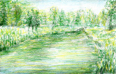 Green landscape. Trees around a river in the park. Creative background 