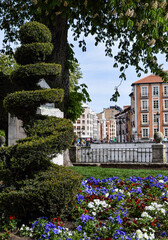 Jard&iacute;n con arbusto en primavera.