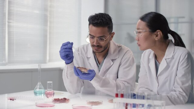 Medium slow-motion footage of couple of multi-ethnic microbiology scientists examining in vitro meat sample dispensing some liquids from chemical beakers on it using lab droppers