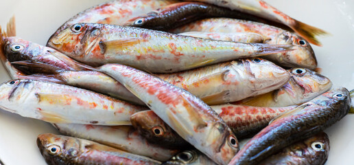 Obraz premium Fresh red mullet fish is ready for cooking.
