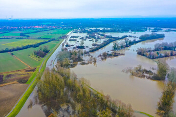 Aerial view of trees in submerged floodplains along river Rhine in winter period near W&ouml;rth, Rhineland-Palatinate, Germany. Flood disaster in winter.