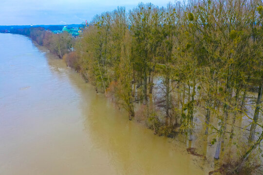 Aerial view of trees in submerged floodplains along river Rhine in winter period near W&ouml;rth, Rhineland-Palatinate, Germany. Flood disaster in winter.