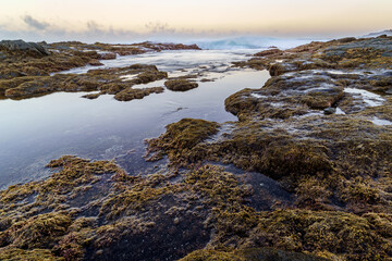 Landscape of the sea coast with water between the rocks, waves crashing against the rocks and reflections of the sky. Gran Canaria. Spain