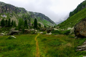 Fototapeta na wymiar trail through a green meadow in a wonderful mountain valley