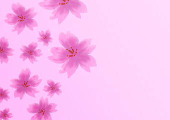 Fototapeta na wymiar 桜の背景素材1