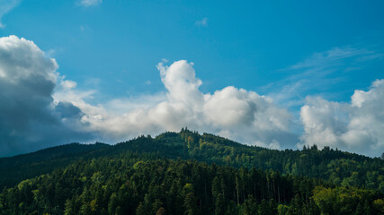 Germany, Black Forest Schwarzwald view above green tree covered mountains  and forest early in the morning after sunrise