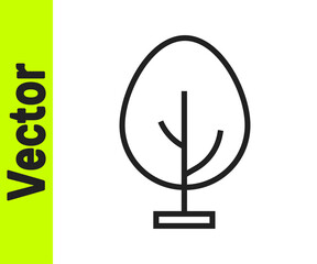 Black line Tree icon isolated on white background. Forest symbol. Vector.