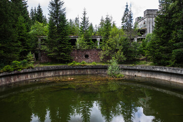 alte ruinen in einem wald betonskellet alt 