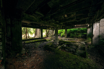 alte mine im wald mitten in der natur alte ruinen betonskelett
