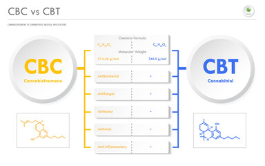 CBC vs CBT, Cannabichromene vs Cannabitriol horizontal business infographic illustration about cannabis as herbal alternative medicine and chemical therapy, healthcare and medical science vector.