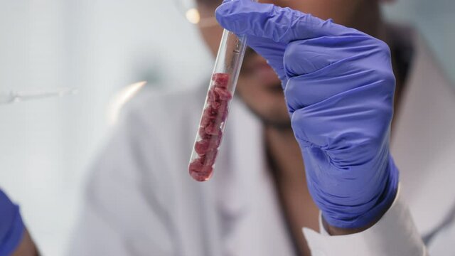 Tilting-down slow-motion closeup of middle eastern microbiologist inspecting artificial meat in test tube, dispensing some liquid into it, watching reaction process
