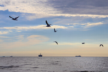 Naklejka na ściany i meble silhouette of seagulls against ocean with distant oil rig and tanker
